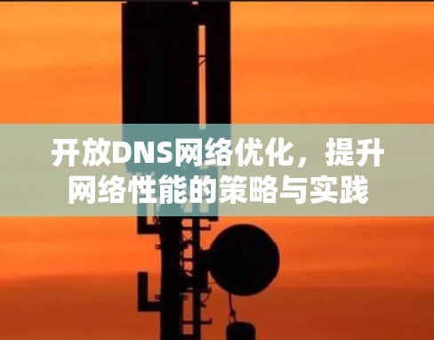 开放DNS网络优化,提升网络性能的策略与实践 开放DNS网络优化,提升网络性能的策略与实践