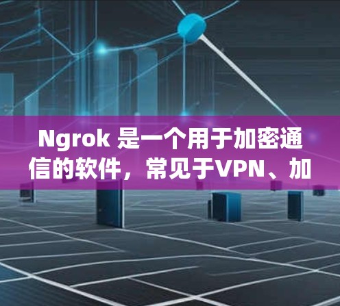 Ngrok 是一个用于加密通信的软件，常见于VPN、加密文件传输等场景。它支持多种加密算法，如 Diffie-Hellman、RSA 等，旨在提供安全的网络连接