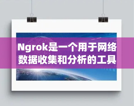 Ngrok是一个用于网络数据收集和分析的工具，广泛应用于加密通信、网络监控、身份验证等领域。以下是详细的使用步骤和注意事项