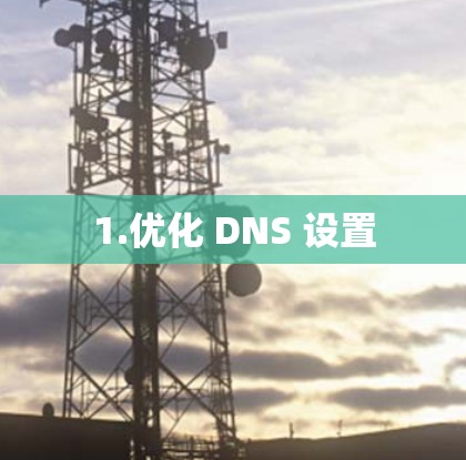 1.优化 DNS 设置
