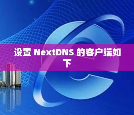 设置 NextDNS 的客户端如下