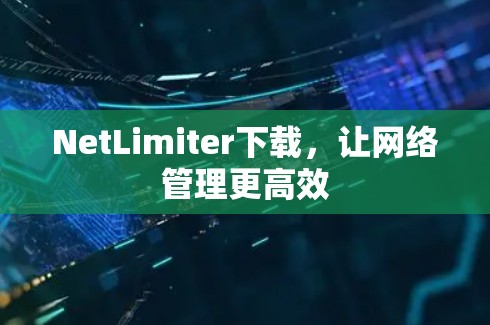 NetLimiter下载，让网络管理更高效