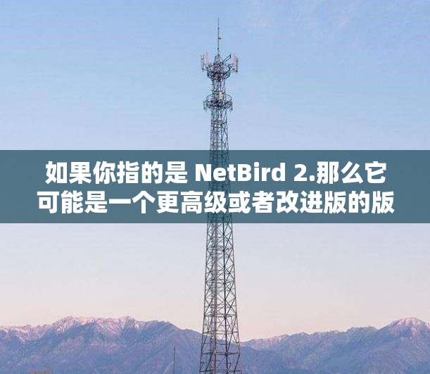 如果你指的是 NetBird 2.那么它可能是一个更高级或者改进版的版本，可能在以下方面进行了修改