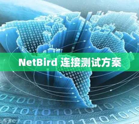 NetBird 连接测试方案