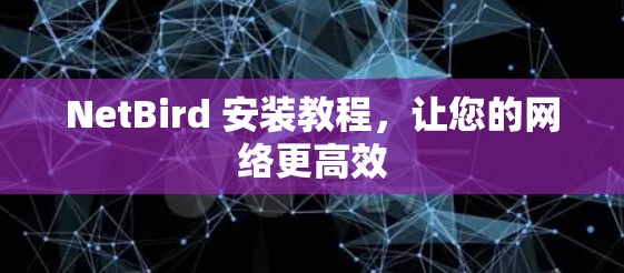 NetBird 安装教程，让您的网络更高效