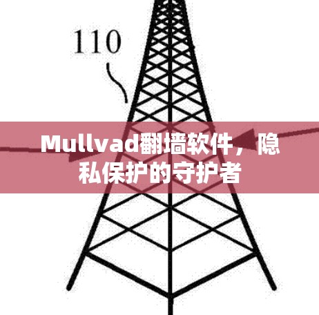 Mullvad翻墙软件，隐私保护的守护者