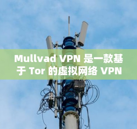 Mullvad VPN 是一款基于 Tor 的虚拟网络 VPN,旨在提供安全、匿名和高效的网络连接。如果你对 VPN 的体验感兴趣,以下是一些 Mullvad VPN 的真实体验分享 Mullvad VPN 是一款基于 Tor 的虚拟网络 VPN,旨在提供安全、匿名和高效的网络连接。如果你对 VPN 的体验感兴趣,以下是一些 Mullvad VPN 的真实体验分享