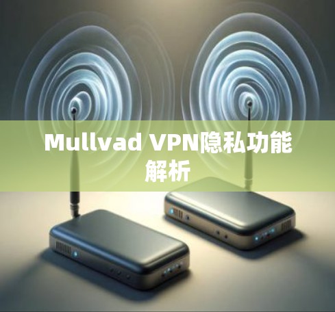 Mullvad VPN隐私功能解析