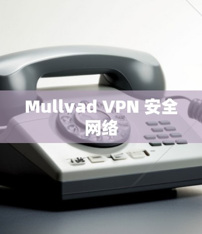 Mullvad VPN 安全网络 Mullvad VPN 安全网络