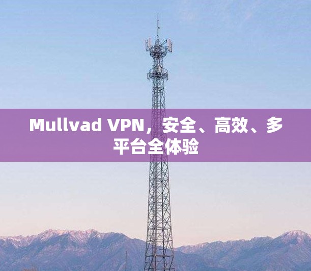 Mullvad VPN,安全、高效、多平台全体验 Mullvad VPN,安全、高效、多平台全体验