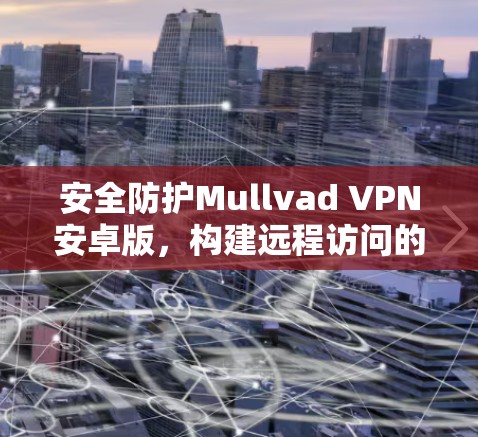 安全防护Mullvad VPN安卓版，构建远程访问的安全屏障