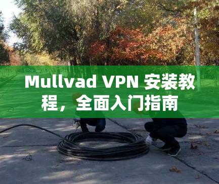 Mullvad VPN 安装教程，全面入门指南