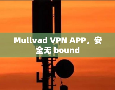 Mullvad VPN APP,安全无 bound Mullvad VPN APP,安全无 bound