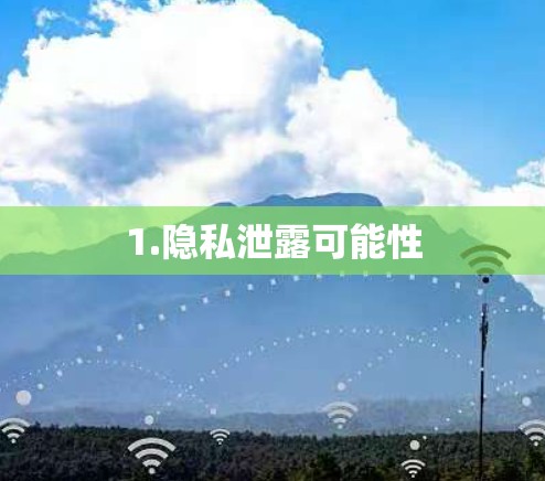 1.隐私泄露可能性 1.隐私泄露可能性