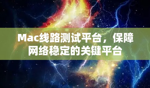 Mac线路测试平台，保障网络稳定的关键平台