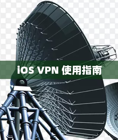 iOS VPN 使用指南