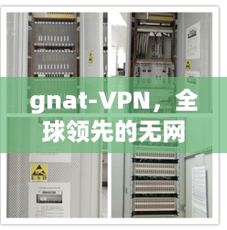 gnat-VPN,全球领先的无网络访问 VPN 解析 gnat-VPN,全球领先的无网络访问 VPN 解析