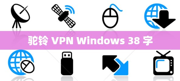 驼铃 VPN Windows 38 字